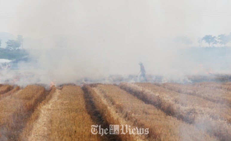 조문환 시인이 찍은 '하동풍경'.