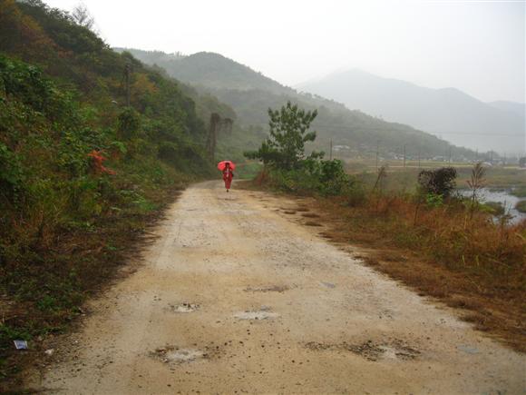 섬진강 김용택 시인 집을 방문한 날. 강변길을 천천히 걸어오던 일행 하나가 아름다워 글을 썼다. 저 붉은 옷 붉은 양산의 먼 실루엣은 이윤기선생 부인 권오순 여사다. 이윤기선생이 '과천에도 나의 절집이 있소'라고 농담하셨던 '절집' 그분이다.  이선생이 별세하시고 얼마 되지 않아, 권여사도 떠나셨다. 사진만 남은 11월이 무심한 붉은 잎 아래 고적하다. (빈섬 촬영)